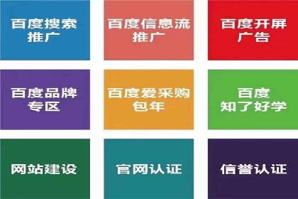 SEM搜索引擎优化案例：如何提升网站流量和转化率